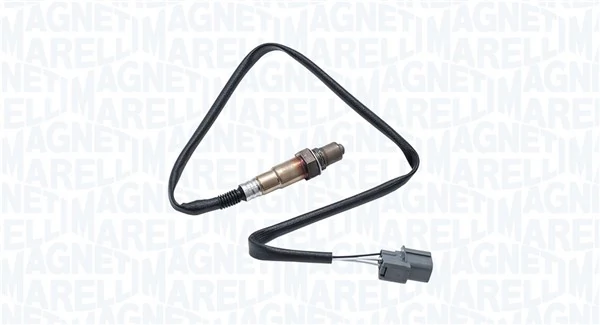 Oxygen Sensor